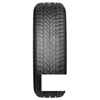 Paxaro INVERNO 225/45 R18 95V XL