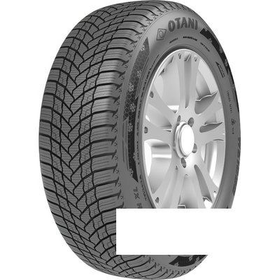 Otani WE1000 215/65 R16 102H XL