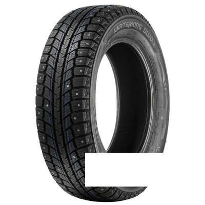 Doublestar WINTERKING DW07 205/70 R15 96T