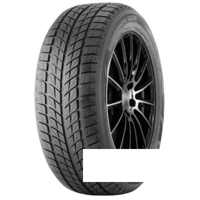 Doublestar DW09 235/55 R17 99T
