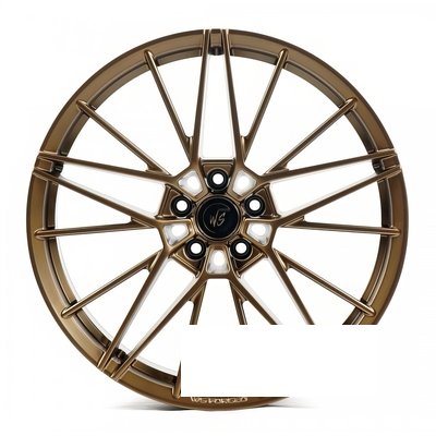 WS Forged WS2124 R20 W9 PCD5x112 ET41 DIA57.1 SBr