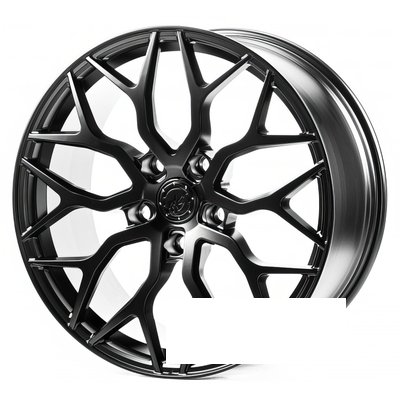 WS Forged WS-115/1C R22 W9.5 PCD5x150 ET45 DIA110 SB